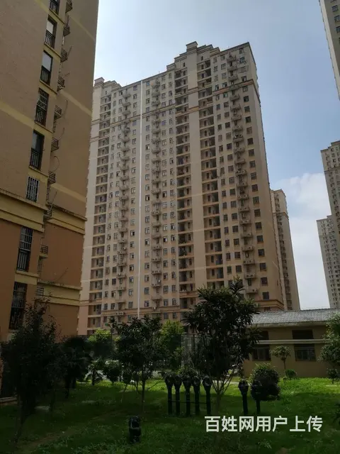 正岳家嘴口 山河大厦 蓝晶绿洲 华腾园 东沙花园 - 图片 10