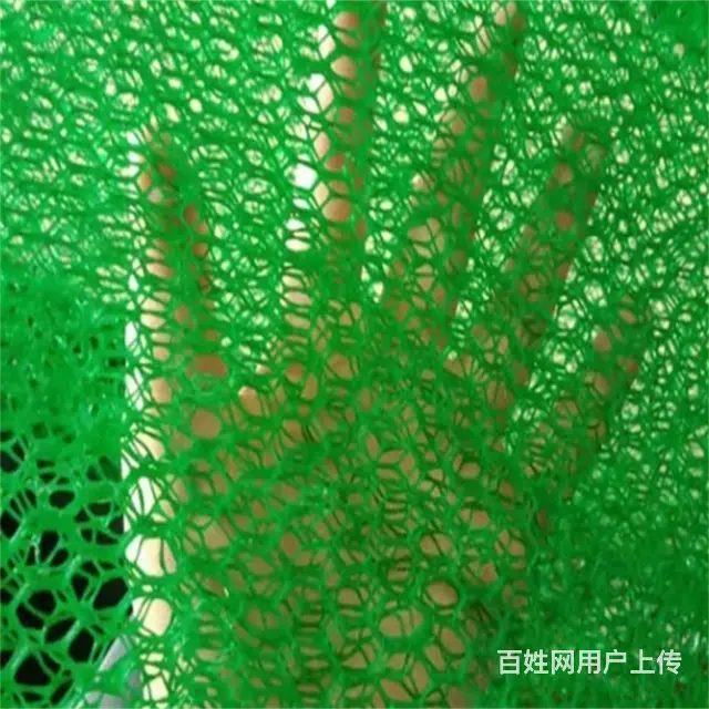 三维植被网 - 图片 4