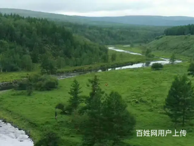 呼伦贝尔海拉尔呼伦贝尔旅游租车费用租车费用品质游 - 图片 1
