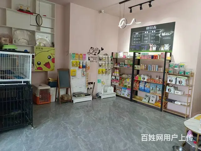 【搞定了！】香坊区进乡街宠物店出兑 - 图片 4