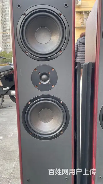 转让一对德国原装进口德高发烧落地音箱，双6.5寸寸 - 图片 3