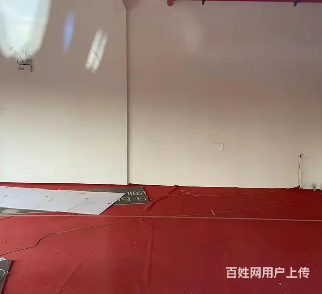 纯一层转角双开间沿街旺铺，教科院旁路劲雅居乐万象 - 图片 5