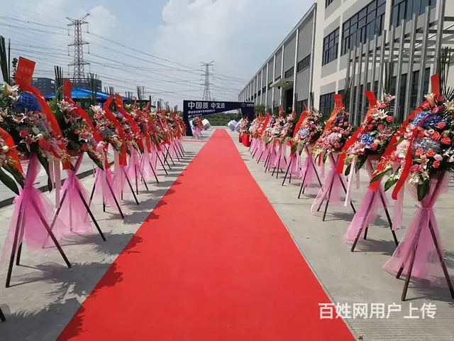 清远市舞台搭建灯光音响桁架背景签到墙空飘气球租赁 - 图片 1