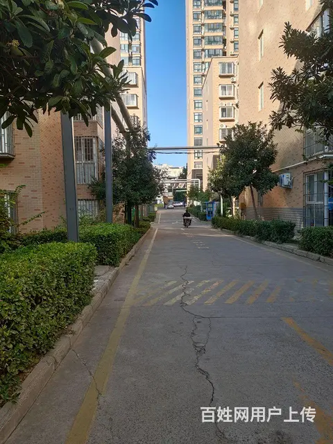 出租 - 图片 3