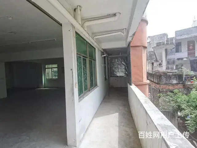 （51旺铺推荐）琼州大道320平铺面招租 - 图片 11