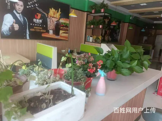 3039虞城古王集南街炸鸡汉堡店转让 带儿童乐园 - 图片 3