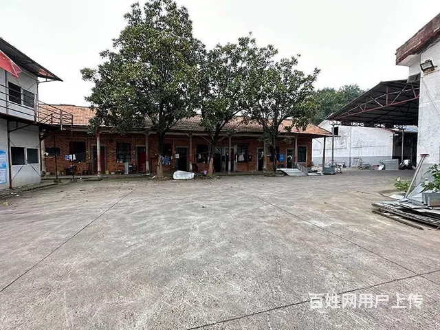 （老板本人）望城独门独院厂房仓库出租  6213 - 图片 8