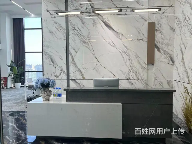 星耀城 江陵路地铁口 豪华装修带家具直播接待办公拎包入住 - 图片 7