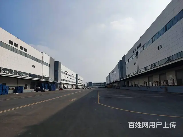 招租-临沂智慧云仓丙二类高标仓、冷库招租！ - 图片 2