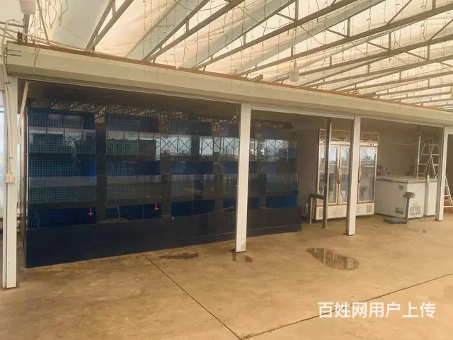 （易转介绍）婺城花卉市场大排档诚心转让！ - 图片 7