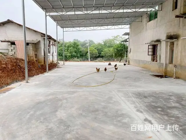 （老板本人）长沙县黄花镇仓库房东优价出租6669 - 图片 3