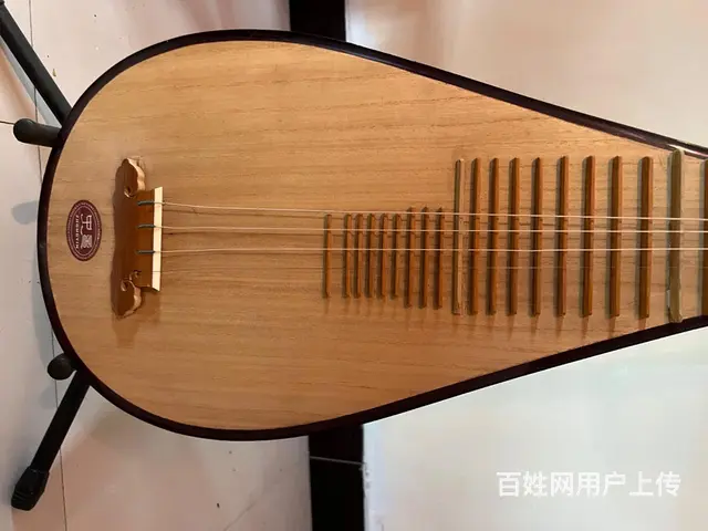 成人琵琶闲置 - 图片 2