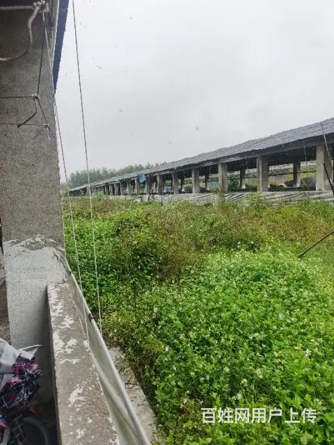 猪场出租 - 图片 2