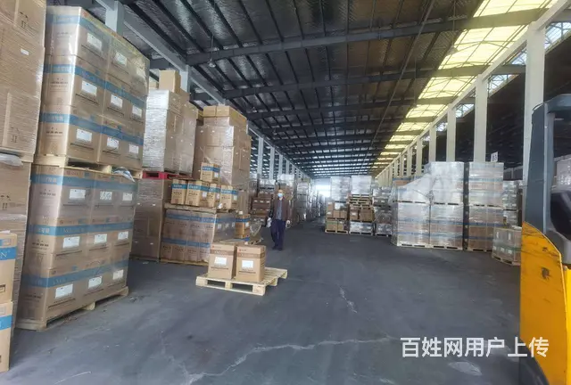 常昆单层6000平，高10米，场地超大，可分租，食堂宿舍配套 - 图片 3