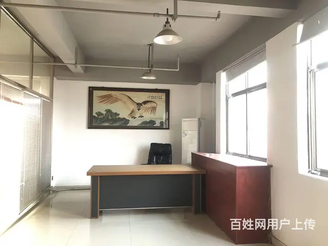 房东直租)麓谷118平精装修电商，仓库，办公出租，带办公家具 - 图片 10