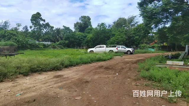 南海大道土地出租，分租，位于宝贵土地 - 图片 5