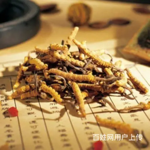 石狮冬虫夏草回收商-石狮冬虫夏草回收方式 - 图片 3