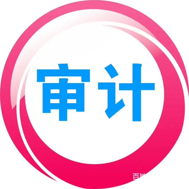 财务审计、税务审计、高新审计、专项审计、免费咨询 - 图片