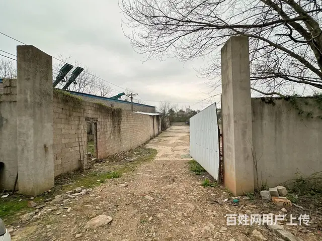 （老板本人）岳麓区含浦场地带整栋房屋出租  6167 - 图片 8