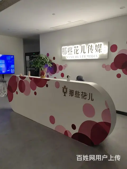 高薪诚聘网络主播 - 图片