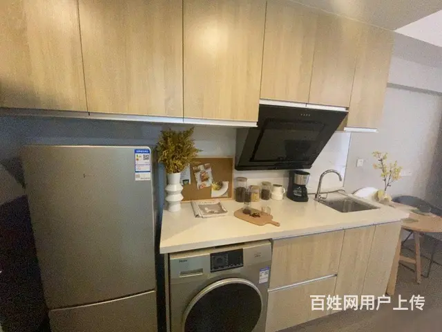 西溪美岸，未来科技芯，4.79米双钥匙双户，阿里全 - 图片 4
