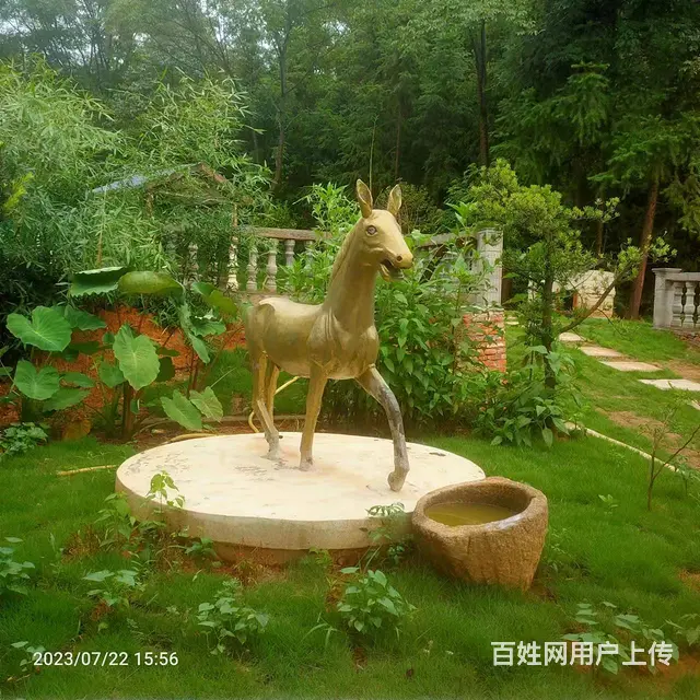 (房东直租)美丽乡村黄兴大道北侧精修别墅，厂房，鱼塘，空地 - 图片 9