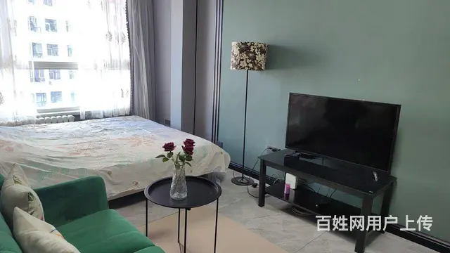 龙熙家园电梯楼精装拎包入住出租 - 图片 2