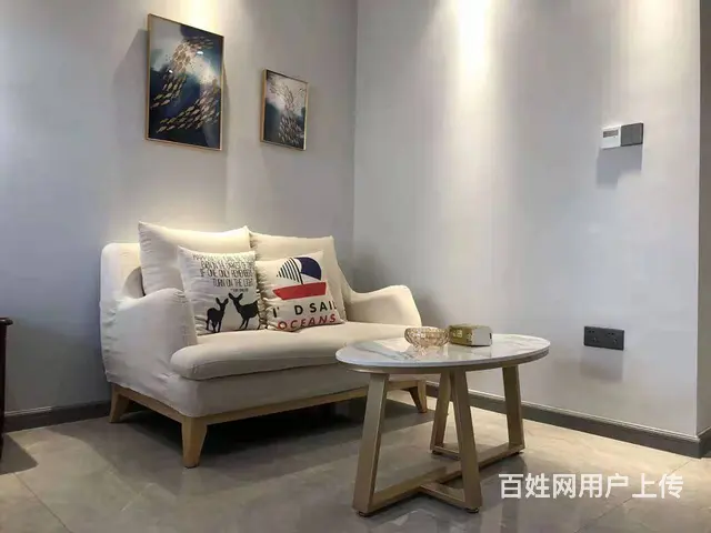 高铁时代广场(金山桥开发区) 公寓1厅 精装修 - 图片 9