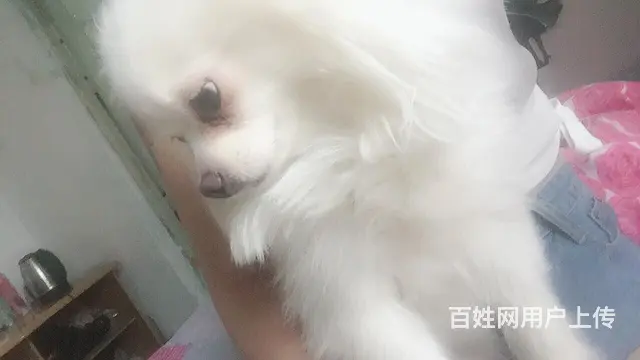 希望看到的好心人帮帮我 - 图片 4