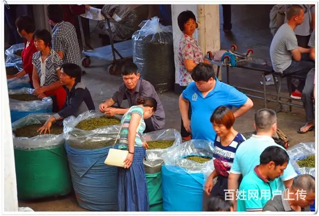 中国茶艺师培训班招生简章2025年 新版报名中 - 图片 1