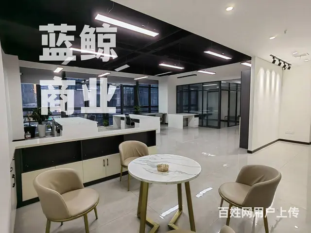 绿地商务城蓝海230平纯办公欢迎看房 - 图片 3