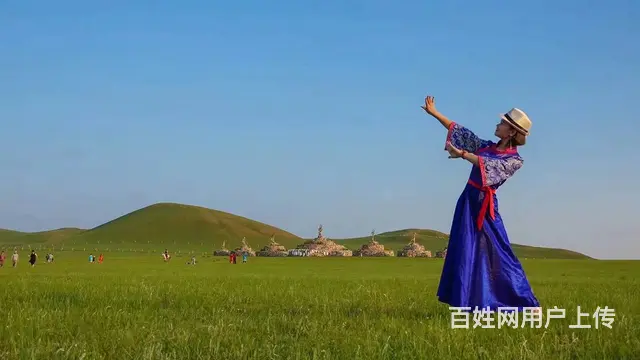 内蒙古大草原冬天该有的样子 - 图片 2