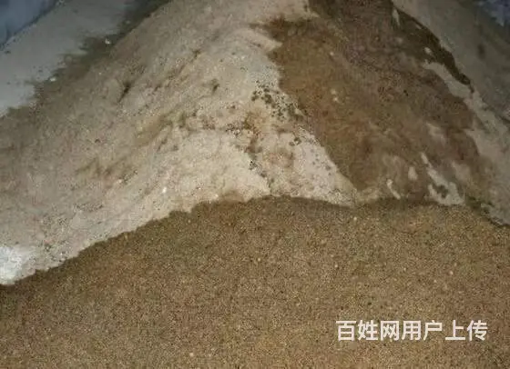东陵拉河石运输一条龙服务 - 图片 9