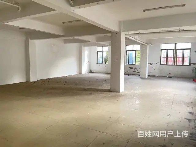 （51旺铺推荐）美兰区青年路350平临街旺铺出租 - 图片 6