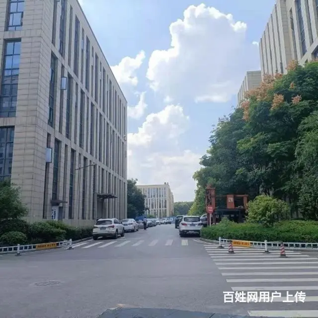（房东直租）一楼实心厂房 - 图片 11