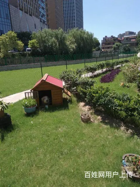 恐龙园板块长兴秀江南别墅群 沿河边别墅证满二 好看 - 图片 3