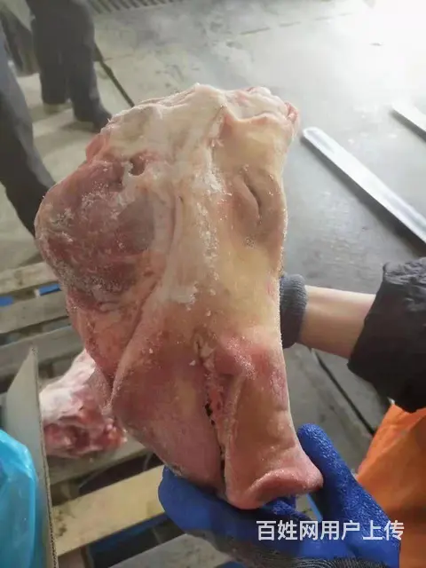 各种肉食，炸串类食品 - 图片 1