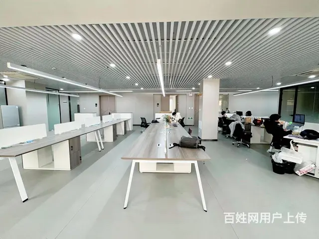 滨江直播核心整层硬装无需转让费，6个直播间，豪装总办公室， - 图片 2