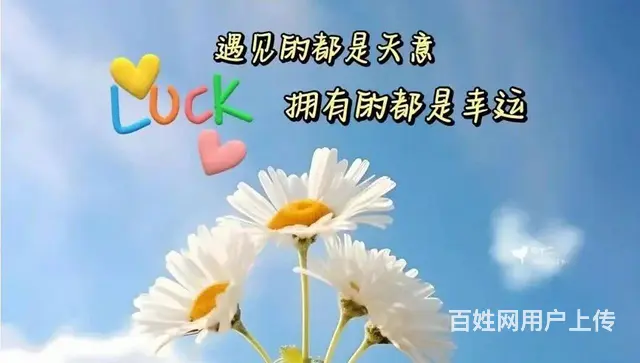 本地工厂，室内木门，实木窗套垭口 - 图片 1