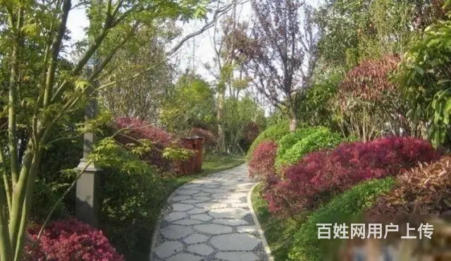 恐龙园旁长兴秀江南联排别墅边户毛坯245平米南进户 - 图片 9