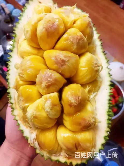 榴莲蜜：海南一种有榴莲味道的菠萝蜜特色水果 - 图片 4