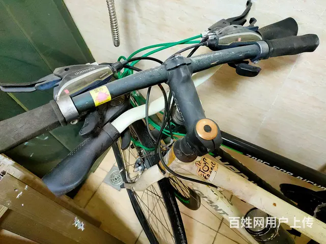 捷安特与达士奇（免充气轮胎）两辆变速自行车 - 图片 2