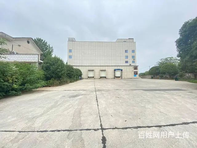 （房东直租）黄兴镇秋江线旁海吉星附近整栋仓库，厂房出租 - 图片 3