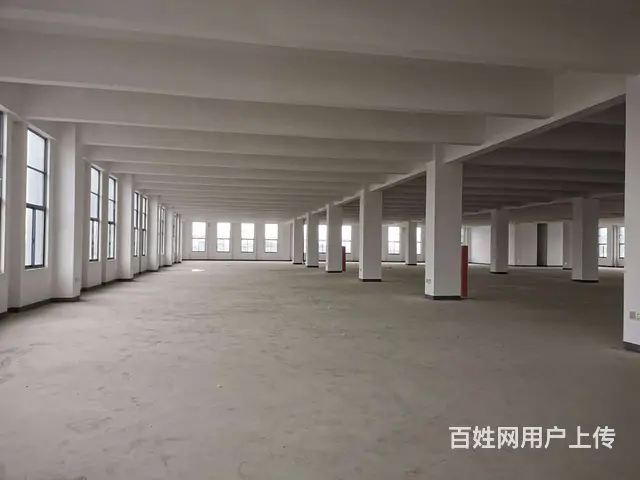 碧溪沿江开发区全新1至3层共10000平，5吨货梯，场地大。 - 图片 8