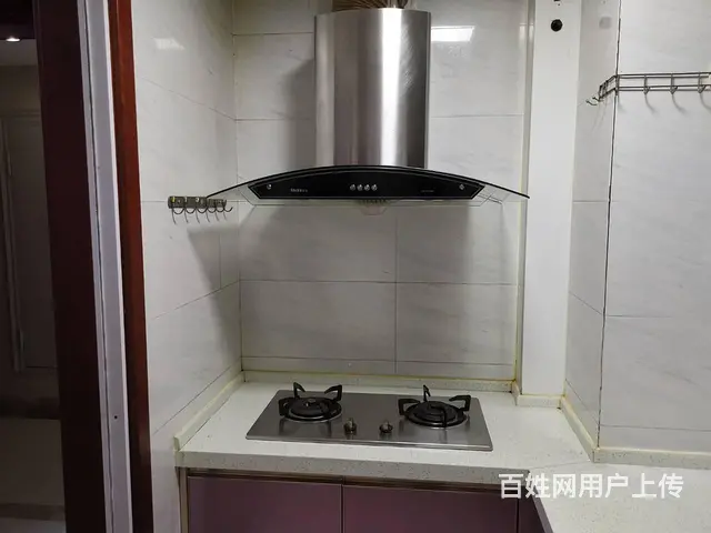 滨湖假日翰林园两室一厅出租 - 图片 4