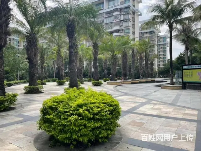 拱北口岸 夏湾春泽名园 高品质好房 精装修1房1厅 房主狂甩 - 图片 8