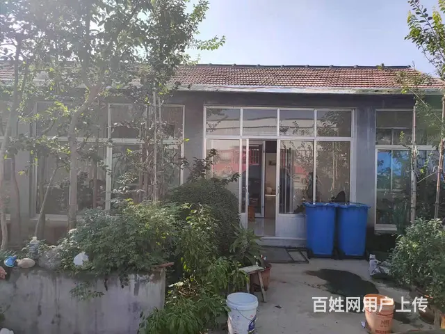 （易店）淄川双杨镇小庄村孝妇河湿地公园附近商铺出租 - 图片 10