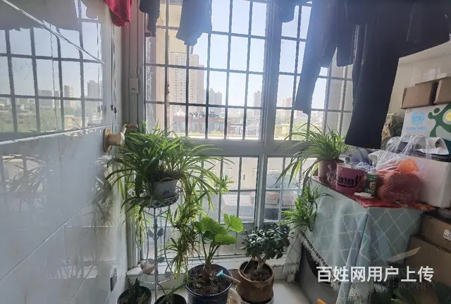 鑫润碧水蓝庭三室南北通透，北塘小学望龙湾初中书包 - 图片 6