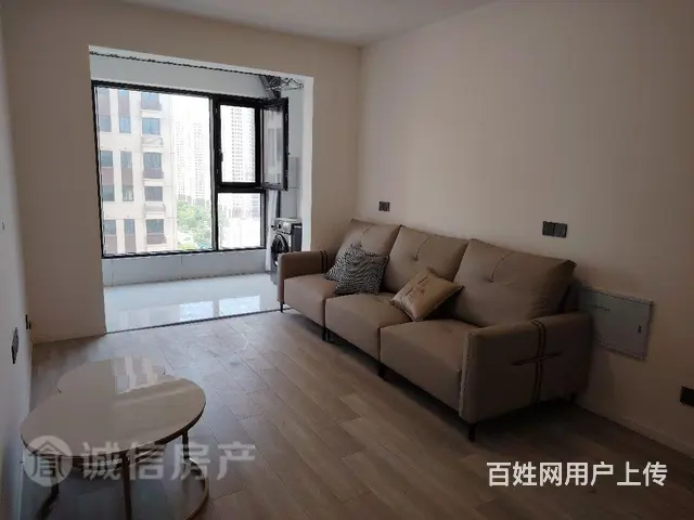 一室一厅，精装未住，可租可售，一手协议 - 图片 6