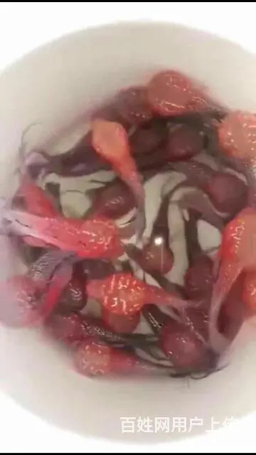 万宁哪里有卖罗汉鱼，万宁卖罗汉鱼地址 - 图片 1